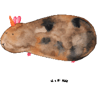 Unicorn Einhorn Sticker by Mr. & Mrs. Panda