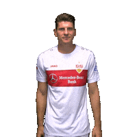 Awesome Mario Gomez Sticker by VfB Stuttgart