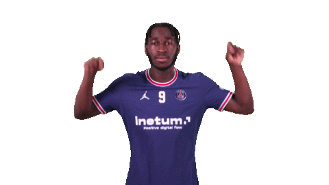 This Is Paris Sport Sticker by Paris Saint-Germain Handball