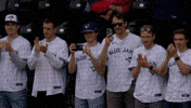 Blue Jays Baseball GIF by Toronto Blue Jays