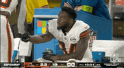 Regular Season Football GIF by NFL