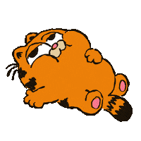 Cat Garfield Sticker by Sony Pictures Germany