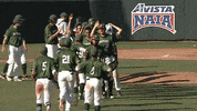 USAODrovers  GIF