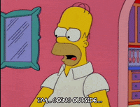 homer simpson GIF