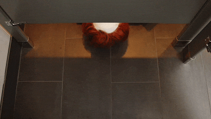 The Home Team Halloween GIF by Thriller Records