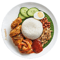 papparichnz asian food nasi lemak malaysian food nasilemak Sticker