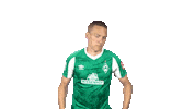 Ludwig Augustinsson Football Sticker by SV Werder Bremen