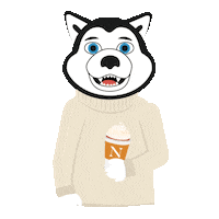 Nuexperience Sticker by Northeastern University