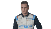 Champion No Sticker by INDYCAR