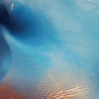 Traveling Joe Biden GIF by Creative Courage