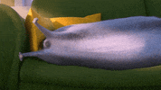 Sleepy Cat GIF by The Secret Life Of Pets