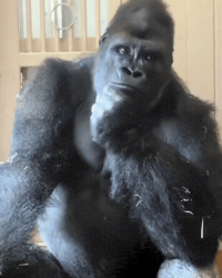 Watching Locked In GIF