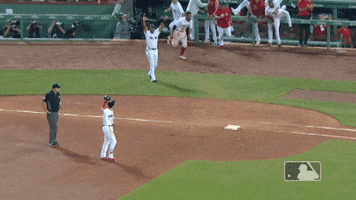 spike GIF by MLB