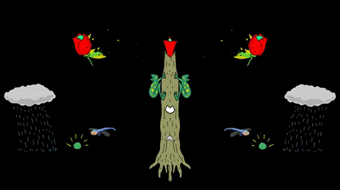 harisabadi giphyupload GIF