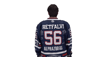 Ice Hockey Sport Sticker by Fehervar AV19