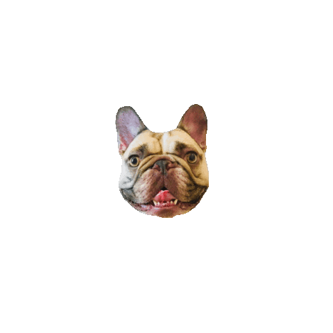 maimaidesignco giphyupload pardonmy2frenchies maimaidesignco Sticker