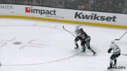 Anaheim Ducks Goal GIF by NHL