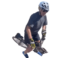 Fall Sticker by NW Safe