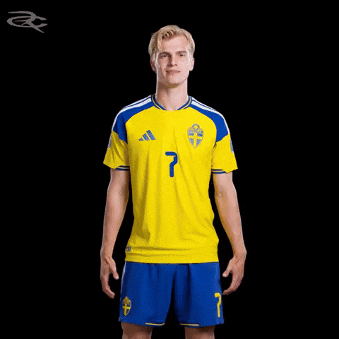 Fifa World Cup Uefa GIF by Respective