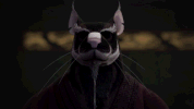 ju GIF