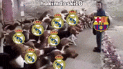 Real Madrid Fans GIF