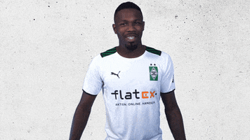 Bundesliga Bmg GIF by Borussia Mönchengladbach
