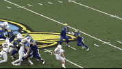LafayetteLeopards football x sack lafayette GIF