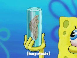 season 7 episode 26 GIF by SpongeBob SquarePants