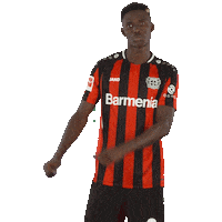 Party Dancing Sticker by Bayer 04 Leverkusen