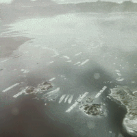 abcindigenous abc indigenous bluewaterempire blue water empire GIF