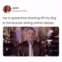 Daniel Craig Puppy GIF by JustViral