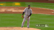 Hands Up Win GIF by MLB