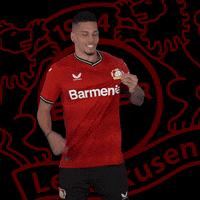 Soccer Love GIF by Bayer 04 Leverkusen