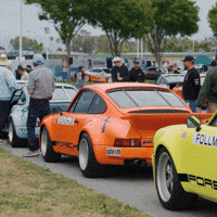 Race Porsche GIF by Dunlop Tire NA