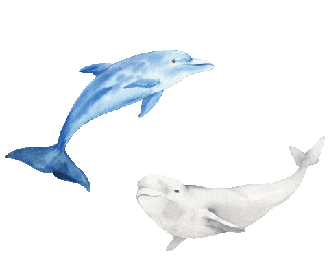Theme Sticker by bimunsinub