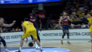 Liga Endesa Basketball GIF by ACB