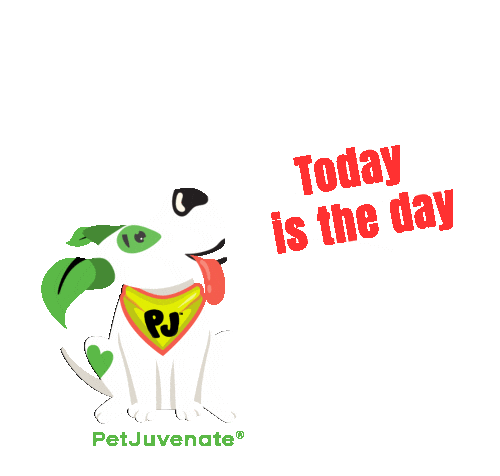 Today Is The Day Pj Petjuvenate Sticker by PetJuvenate - PJ