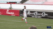 2018 season football GIF by USL
