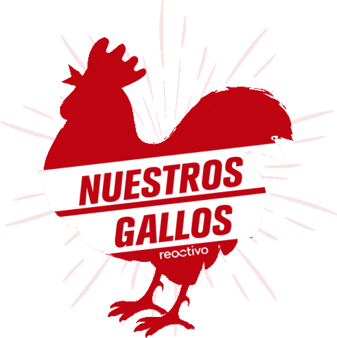 Reactivo_org giphyupload gallo gallos reactivo Sticker