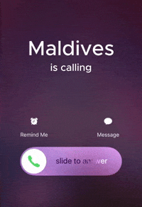 Maldives GIF