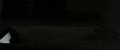 bizarre GIF