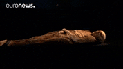 Mummy GIF by euronews