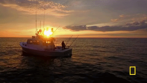 wicked tuna GIF by National Geographic Channel