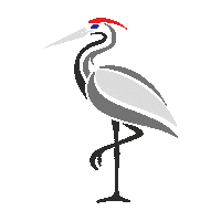 Bird Vogel Sticker by GWK Warstein