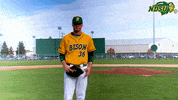 Ndsu Baseball GIF by NDSU Athletics
