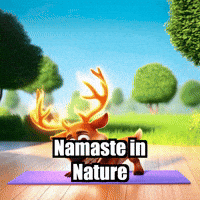 Fitness Yoga GIF by elkijahspark
