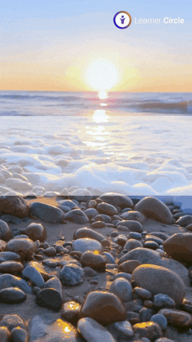 GIF by Learner Circle