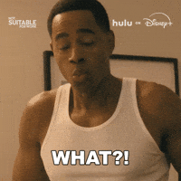 No Way What GIF by HULU