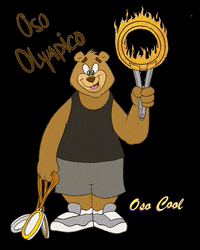 WastedTalent1979 sports cool bear cute animals GIF