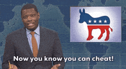 Snl GIF by Saturday Night Live